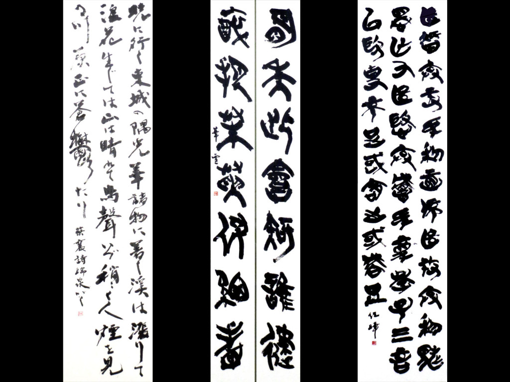 fukuyamamatuihirasahi